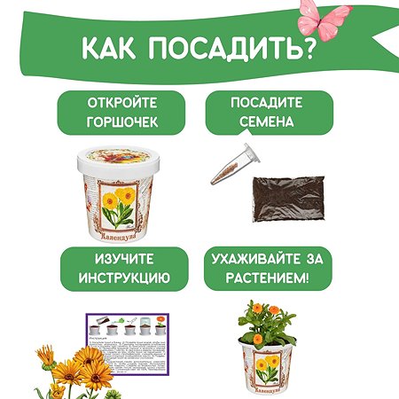Набор для выращивания Rostok Visa Календула - фото 4