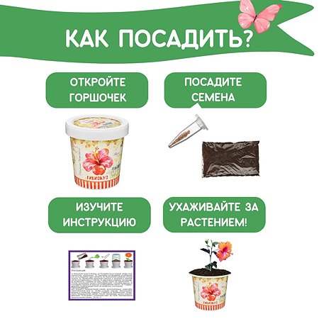 Набор для  выращивания Rostok Visa Гибискус - фото 4
