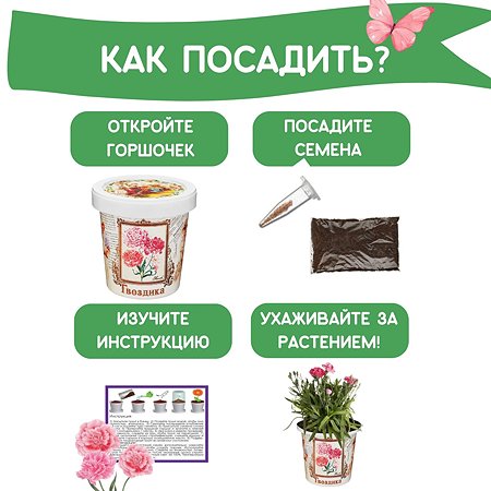 Набор для выращивания Rostok Visa Гвоздика - фото 3