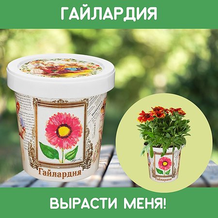 Набор для выращивания растений Rostok Visa Вырасти сам цветок Гайлардия в подарочном горшке