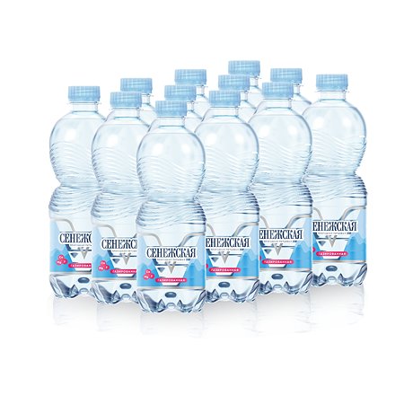 Вода питьевая Сенежская 0.5 л газированная (12 шт в упаковке)