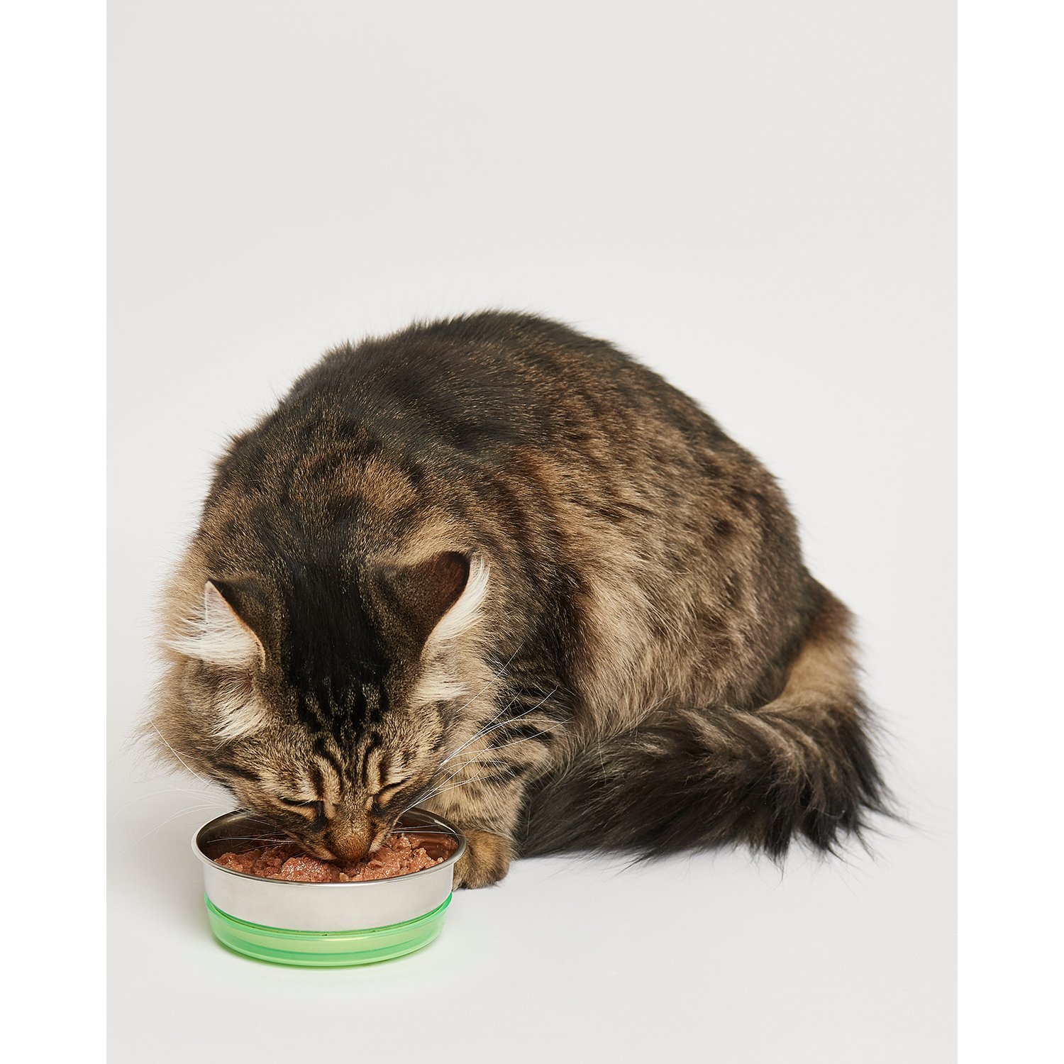 Корм для кошек Harty 100г паштет с индейкой для чувствительного пищеварения консервированный - фото 4