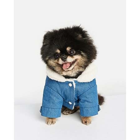 Куртка для собак Zoozavr синий 25