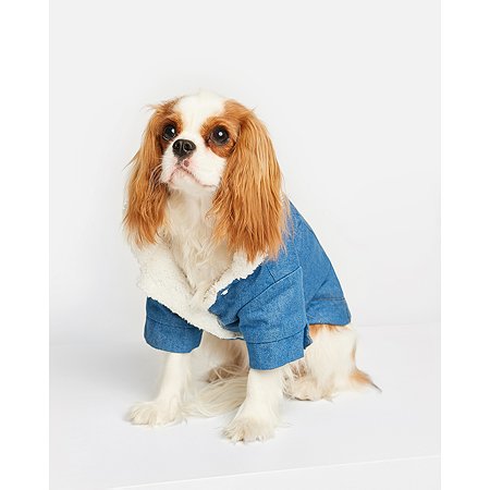 Куртка для собак Zoozavr синий 30