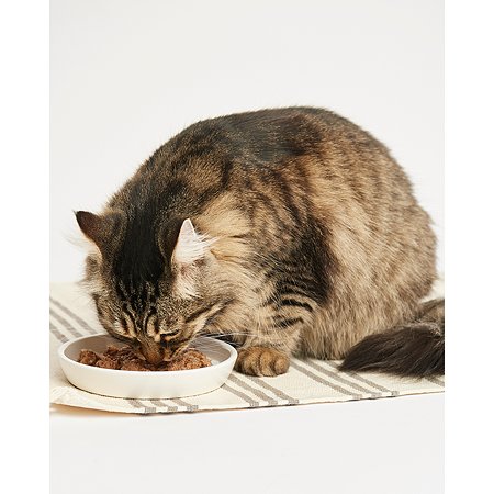 Корм для кошек Carnica 100г паштет из индейки для поддержания веса консервированный - фото 4