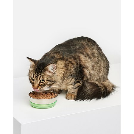 Корм для кошек Carnica 100г паштет из утки для чувствительного пищеварения консервированный - фото 3