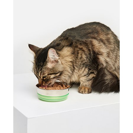 Корм для кошек Carnica 100г паштет из утки для чувствительного пищеварения консервированный - фото 4