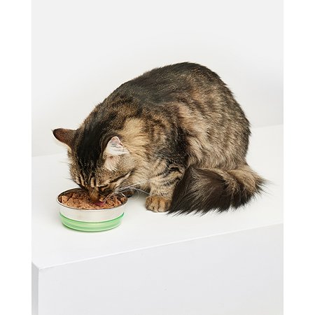 Корм для кошек Carnica 100г паштет из утки для чувствительного пищеварения консервированный - фото 5