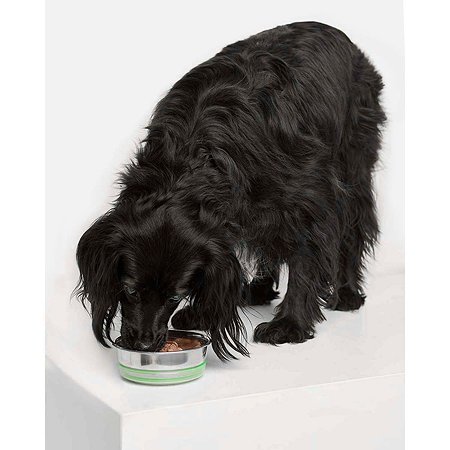 Корм для собак Carnica 85г с уткой для чувствительного пищеварения кусочки в соусе консервированный - фото 2